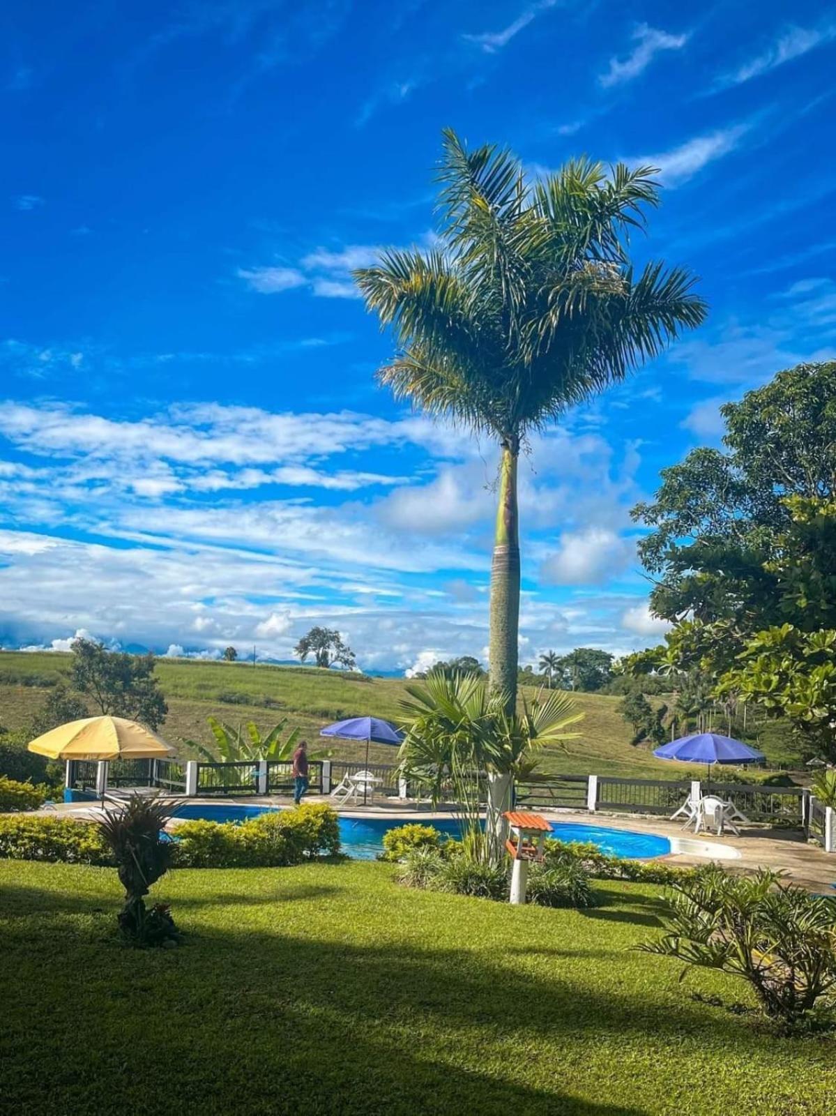 Finca Hotel Palmas Frente A Panaca Quimbaya Bagian luar foto