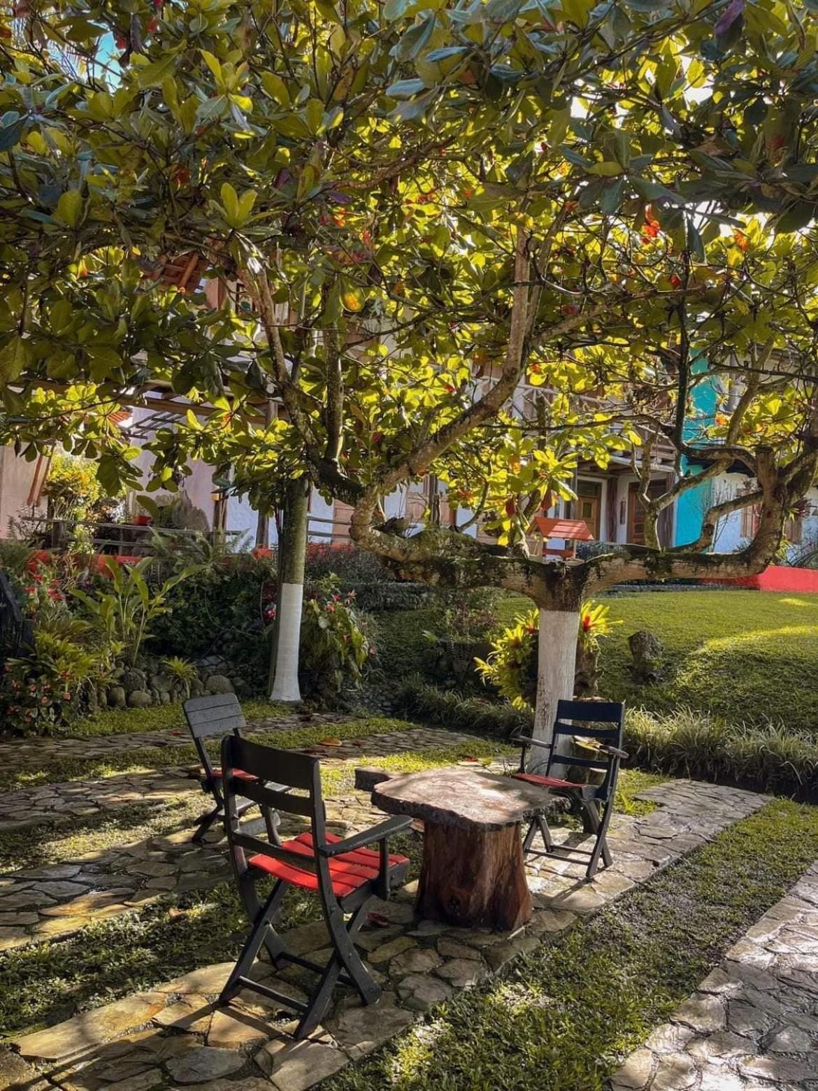 Finca Hotel Palmas Frente A Panaca Quimbaya Bagian luar foto